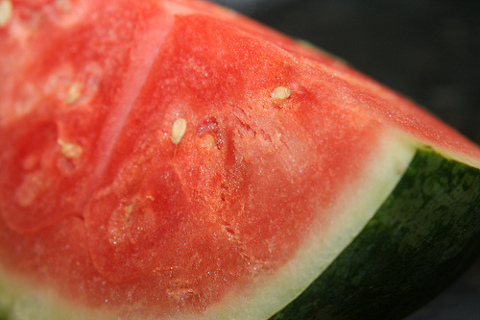 watermelon_biofuel